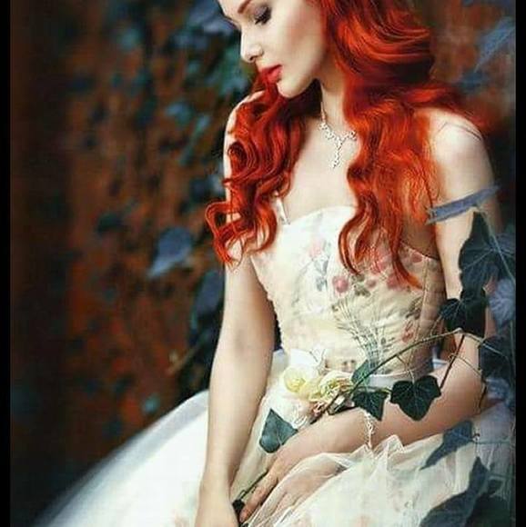 beautifulswan3